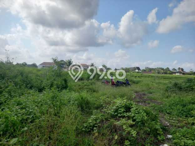 Kavling Tanah Disewakan di Mengwi Badung Luas 188m2 Strategis Kavling Tanah Disewakan di Mengwi Badung Luas 188m2 Strategis