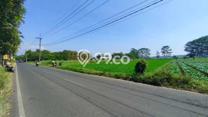Untuk Dijual Tanah di Malang, Luas 2071m2 SHM Untuk Dijual Tanah di Malang, Luas 2071m2 SHM