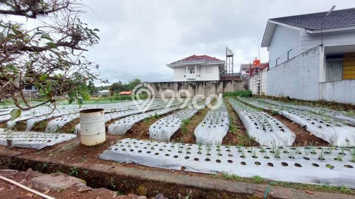 Tanah Kavling di Lembang Dijual dengan Luas 500m2 Tanah Kavling di Lembang Dijual dengan Luas 500m2