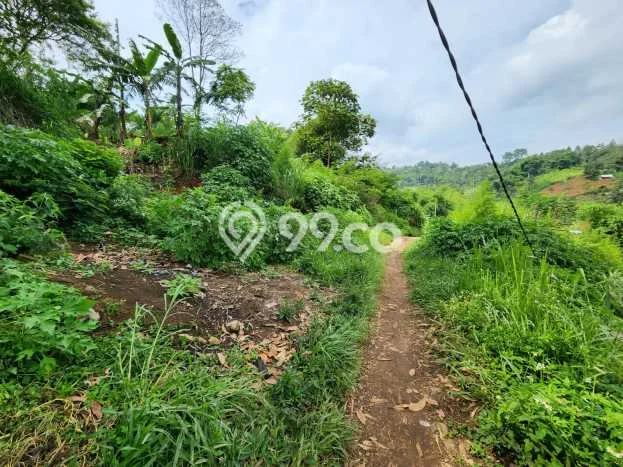 Tanah Kavling untuk Dijual di Dago Bandung 2705m2 Tanah Kavling untuk Dijual di Dago Bandung 2705m2