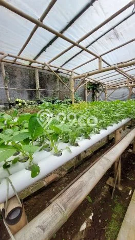 Dijual Hunian Mewah dengan Fasilitas Sekitar Komplit di Sukasari, Bandung Dijual Hunian Mewah dengan Fasilitas Sekitar Komplit di Sukasari, Bandung