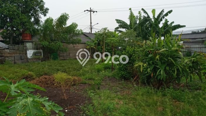 Tanah Komersial Dijual di Balaraja Tangerang 1705m2 Tanah Komersial Dijual di Balaraja Tangerang 1705m2