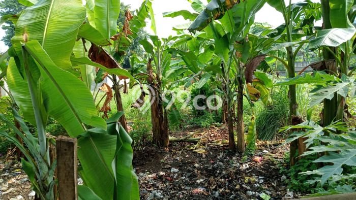 Dijual Tanah Lokasi Jatikarya, Bekasi Seluas 300m2 Dijual Tanah Lokasi Jatikarya, Bekasi Seluas 300m2
