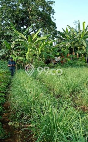 Dijual Tanah Lokasi Jatikarya, Bekasi Seluas 300m2 Dijual Tanah Lokasi Jatikarya, Bekasi Seluas 300m2