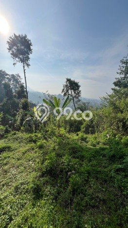 Tanah Strategis Kawasan , Luas 2100m2m², Cocok untuk Investasi Tanah Strategis Kawasan , Luas 2100m2m², Cocok untuk Investasi