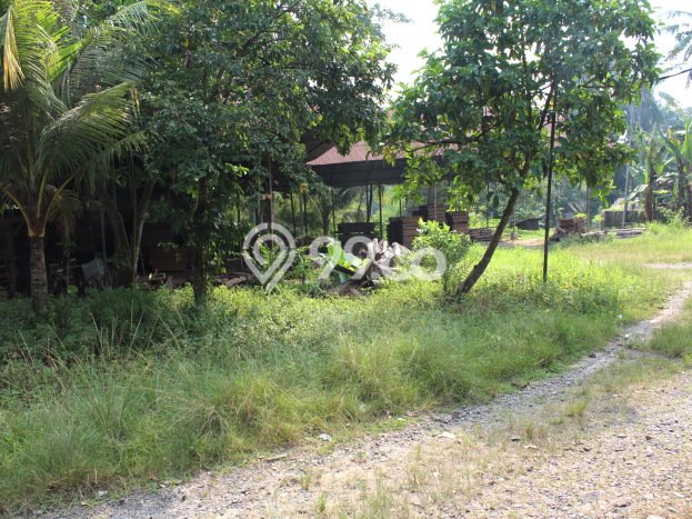 Gudang disewakan lokasi strategis Serang Serang 800m2 Gudang disewakan lokasi strategis Serang Serang 800m2