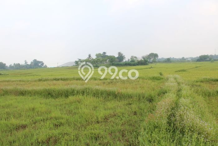 Pabrik Paling Dicari LB 50m2 Dijual di Cikande Pabrik Paling Dicari LB 50m2 Dijual di Cikande