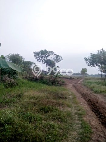 Jarang Ada! Tanah di Cikande Punya Luas 8183m2 SHM Jarang Ada! Tanah di Cikande Punya Luas 8183m2 SHM