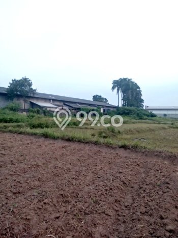 Jarang Ada! Tanah di Cikande Punya Luas 8183m2 SHM Jarang Ada! Tanah di Cikande Punya Luas 8183m2 SHM