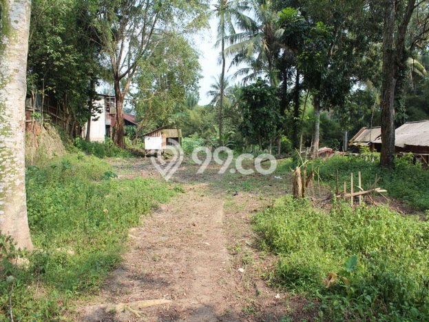 Gudang disewakan lokasi strategis Serang Serang 800m2 Gudang disewakan lokasi strategis Serang Serang 800m2