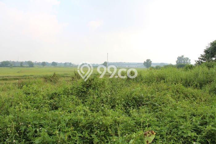 Pabrik Paling Dicari LB 50m2 Dijual di Cikande Pabrik Paling Dicari LB 50m2 Dijual di Cikande