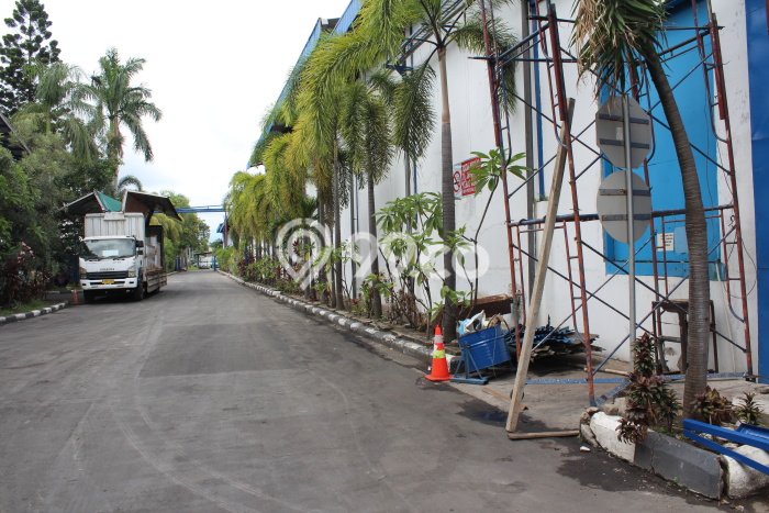 Gudang Disewakan Lokasi Cikande Serang Harga Spesial! Gudang Disewakan Lokasi Cikande Serang Harga Spesial!