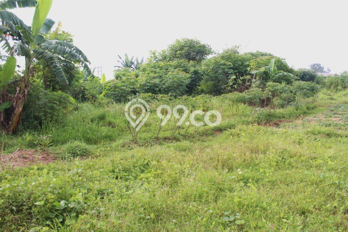 Pabrik Paling Dicari LB 50m2 Dijual di Cikande Pabrik Paling Dicari LB 50m2 Dijual di Cikande