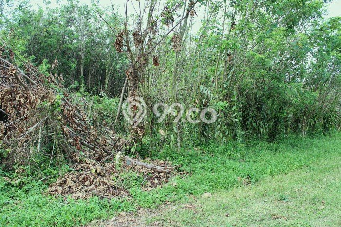 Komersial Dijual Lokasi Emas di Cibadak Luas 3500m2 Komersial Dijual Lokasi Emas di Cibadak Luas 3500m2