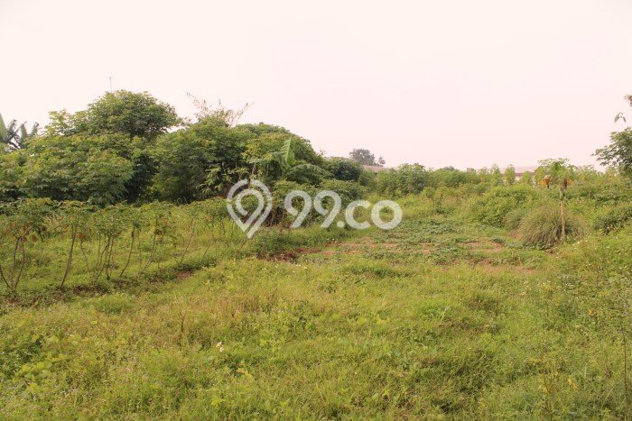 Pabrik Paling Dicari LB 50m2 Dijual di Cikande Pabrik Paling Dicari LB 50m2 Dijual di Cikande