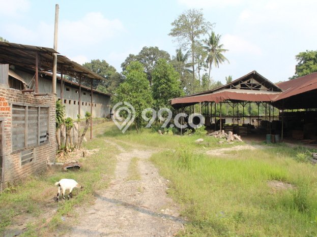 Gudang disewakan lokasi strategis Serang Serang 800m2 Gudang disewakan lokasi strategis Serang Serang 800m2