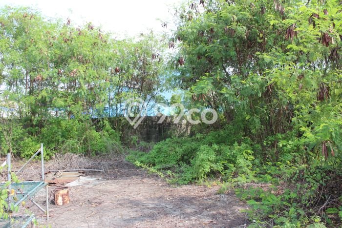 Unit Pabrik Dijual di Karawang Timur Karawang Luas Bangunan 5594m2 Unit Pabrik Dijual di Karawang Timur Karawang Luas Bangunan 5594m2