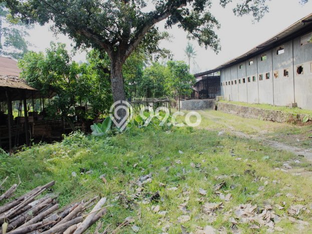 Gudang disewakan lokasi strategis Serang Serang 800m2 Gudang disewakan lokasi strategis Serang Serang 800m2