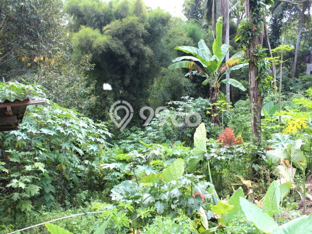 Gudang disewakan lokasi strategis Serang Serang 800m2 Gudang disewakan lokasi strategis Serang Serang 800m2