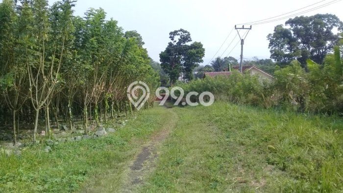 Komersial Dijual Lokasi Emas di Cibadak Luas 3500m2 Komersial Dijual Lokasi Emas di Cibadak Luas 3500m2