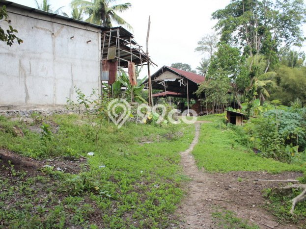 Gudang disewakan lokasi strategis Serang Serang 800m2 Gudang disewakan lokasi strategis Serang Serang 800m2