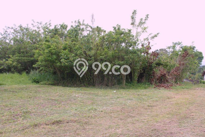 Komersial Dijual Lokasi Emas di Cibadak Luas 3500m2 Komersial Dijual Lokasi Emas di Cibadak Luas 3500m2