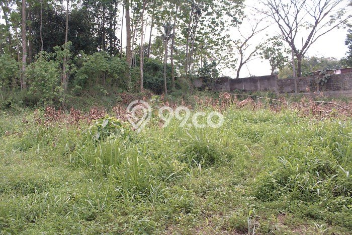 Komersial Dijual Lokasi Emas di Cibadak Luas 3500m2 Komersial Dijual Lokasi Emas di Cibadak Luas 3500m2