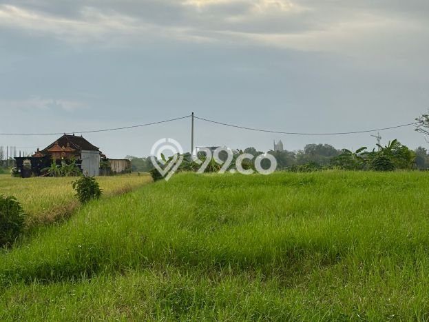 LOKASI PREMIUM! Tanah di Cemagi, Luas 3000m2m², Ideal untuk Investasi LOKASI PREMIUM! Tanah di Cemagi, Luas 3000m2m², Ideal untuk Investasi