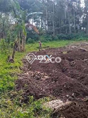 Lahan Strategis di Karangploso Dijual dengan Luas 1263m2 Lahan Strategis di Karangploso Dijual dengan Luas 1263m2