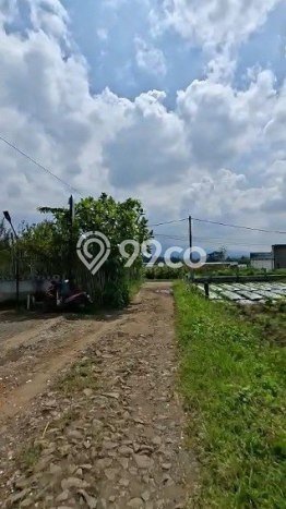 Untuk Dijual Komersial di Dau, Malang Harga Penawaran Spesial Untuk Dijual Komersial di Dau, Malang Harga Penawaran Spesial