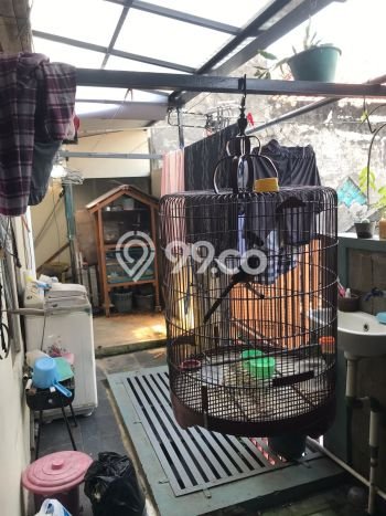 Dijual Cepat Rumah Favorit Siap Huni LB 120m2 di Colomadu, Karanganyar Dijual Cepat Rumah Favorit Siap Huni LB 120m2 di Colomadu, Karanganyar