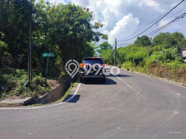 Tanah di Kuta, Badung Luas 3120m2 Dijual Segera Tanah di Kuta, Badung Luas 3120m2 Dijual Segera