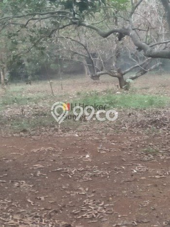 Tanah Kavling Dijual di Purwakarta dengan Spesifikasi 11000m2 Tanah Kavling Dijual di Purwakarta dengan Spesifikasi 11000m2