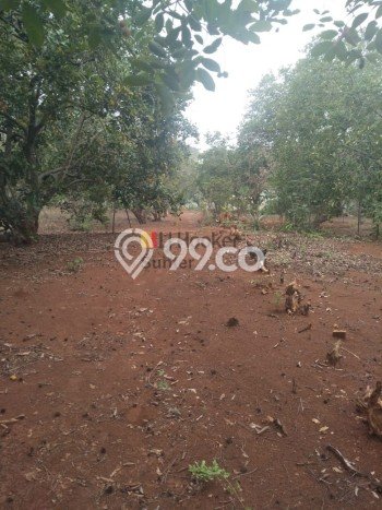 Tanah Kavling Dijual di Purwakarta dengan Spesifikasi 11000m2 Tanah Kavling Dijual di Purwakarta dengan Spesifikasi 11000m2