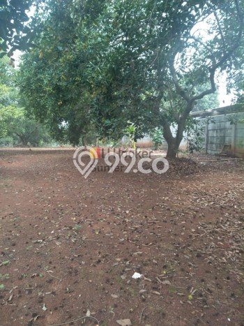 Tanah Kavling Dijual di Purwakarta dengan Spesifikasi 11000m2 Tanah Kavling Dijual di Purwakarta dengan Spesifikasi 11000m2