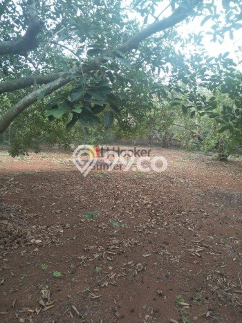 Tanah Kavling Dijual di Purwakarta dengan Spesifikasi 11000m2 Tanah Kavling Dijual di Purwakarta dengan Spesifikasi 11000m2