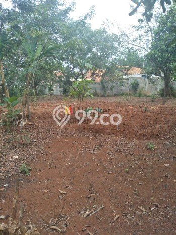 Tanah Kavling Dijual di Purwakarta dengan Spesifikasi 11000m2 Tanah Kavling Dijual di Purwakarta dengan Spesifikasi 11000m2
