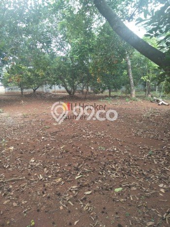 Tanah Kavling Dijual di Purwakarta dengan Spesifikasi 11000m2 Tanah Kavling Dijual di Purwakarta dengan Spesifikasi 11000m2