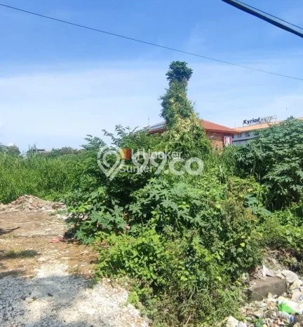 Tanah di Kuta, Badung Luas 3120m2 Dijual Segera Tanah di Kuta, Badung Luas 3120m2 Dijual Segera