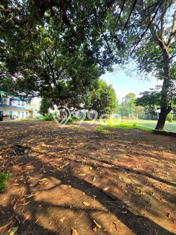 Tanah Dijual Area Strategis di Kemang Jakarta Selatan 9915m2 Tanah Dijual Area Strategis di Kemang Jakarta Selatan 9915m2