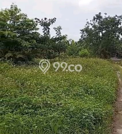 Kavling Tanah di Legok Dijual Luas 70000m2 Legalitas SHM Kavling Tanah di Legok Dijual Luas 70000m2 Legalitas SHM