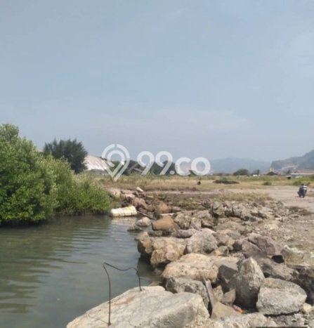 Tanah Strategis Dijual di Bojonegara Serang 230000m2 Tanah Strategis Dijual di Bojonegara Serang 230000m2