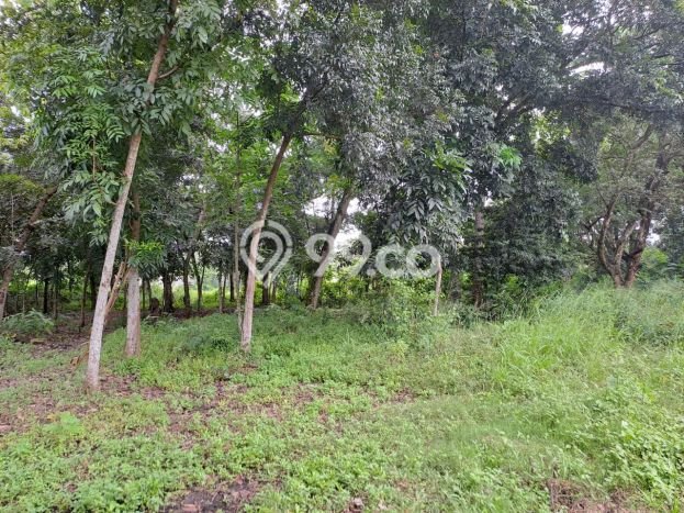 Unit Pabrik Dijual di Cikande Serang Luas Bangunan 1440m2 Unit Pabrik Dijual di Cikande Serang Luas Bangunan 1440m2