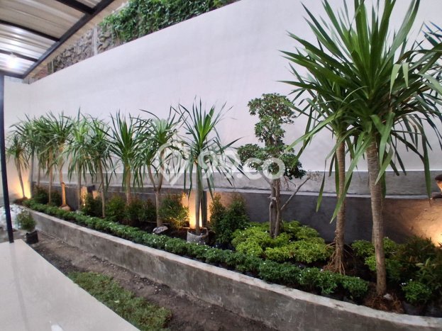 Dijual Cepat Rumah Bagus Siap Huni LB 150m2 di Ngaliyan, Semarang Dijual Cepat Rumah Bagus Siap Huni LB 150m2 di Ngaliyan, Semarang
