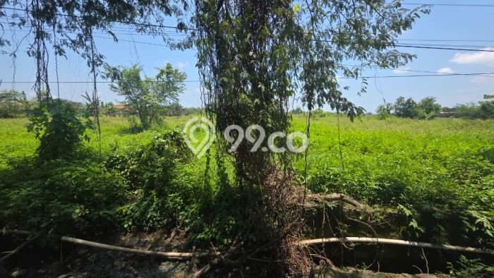 Lahan untuk Dijual di Kaliwungu Semarang Luas 14000m2 Lahan untuk Dijual di Kaliwungu Semarang Luas 14000m2