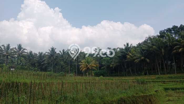 Lahan Investasi Lokasi Gunung Pati Semarang SHM Lahan Investasi Lokasi Gunung Pati Semarang SHM