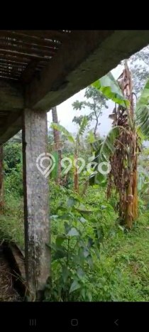 Jarang Ada! Tanah di Limbangan Punya Luas 4683m2 SHM Jarang Ada! Tanah di Limbangan Punya Luas 4683m2 SHM