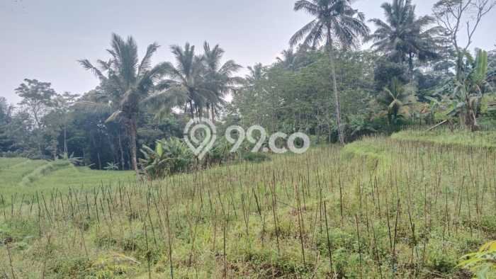Lahan Investasi Lokasi Gunung Pati Semarang SHM Lahan Investasi Lokasi Gunung Pati Semarang SHM