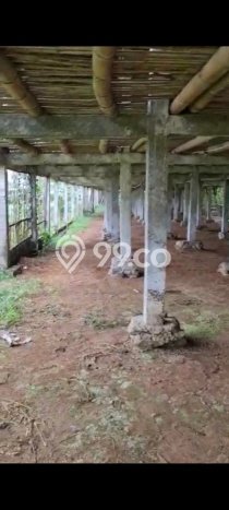 Jarang Ada! Tanah di Limbangan Punya Luas 4683m2 SHM Jarang Ada! Tanah di Limbangan Punya Luas 4683m2 SHM
