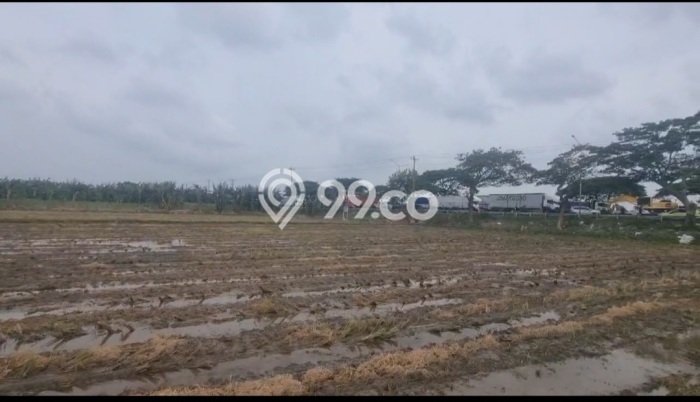 Lahan untuk Dijual di Wonosalam Demak Luas 4120m2 Lahan untuk Dijual di Wonosalam Demak Luas 4120m2